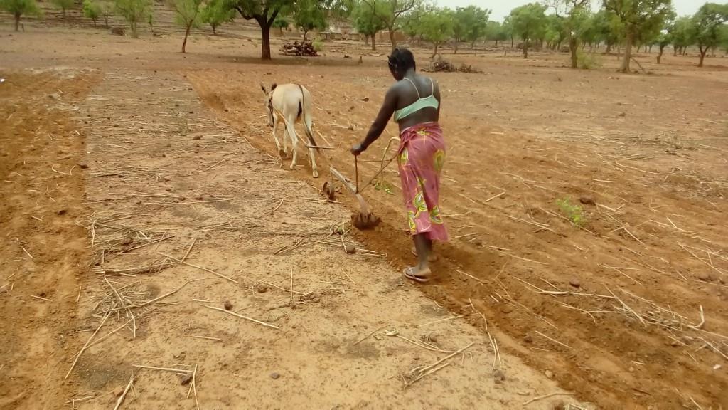 Selever_Cultivateurs-1