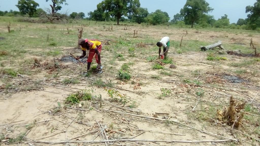 Selever_Cultivateurs-2