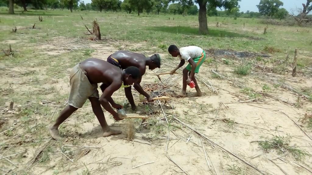 Selever_Cultivateurs-4