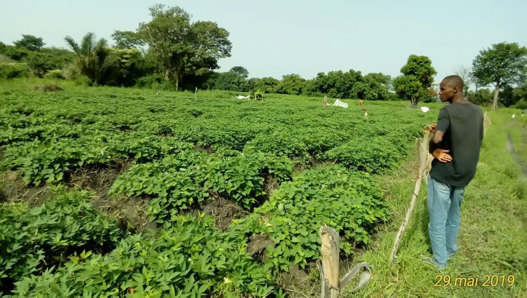 Photo SNV Terrain 38