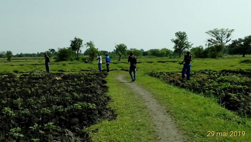 Photo SNV Terrain 43
